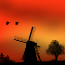 Dijk