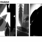 Armed with Wings 2 - Vindstot
