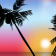 Palms in Paradise