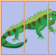 Iguana