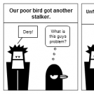 Derp Guy Meets Stalked Bird