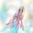 My octopus - angel