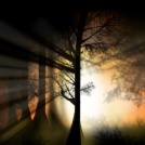 darkness shines