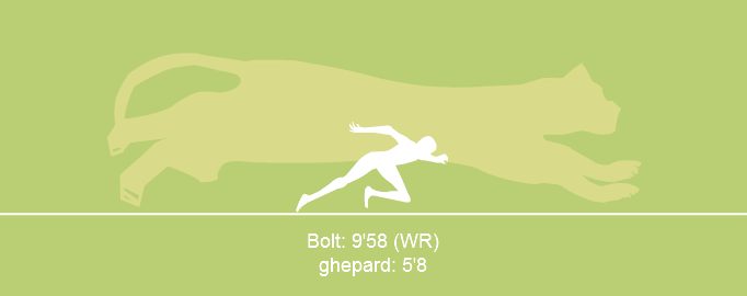 Nature's Olympics - 100 mt