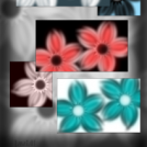 More and More Flowers