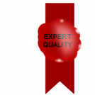 Expert