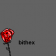 My Magic Rose
