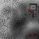 the trap spider