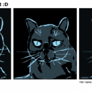 My Blue-eyed Blue Cat :D