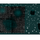 The Borg
