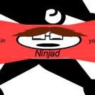 Ninjad 1