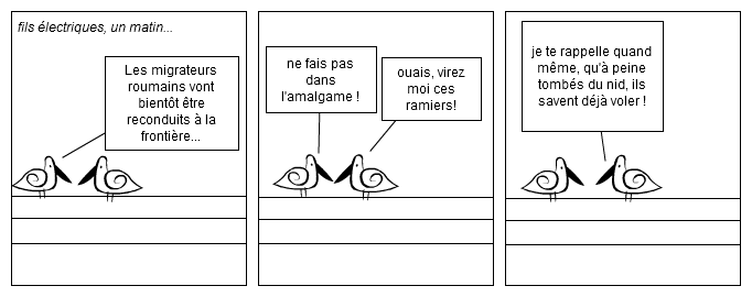 Drôles d'oiseaux