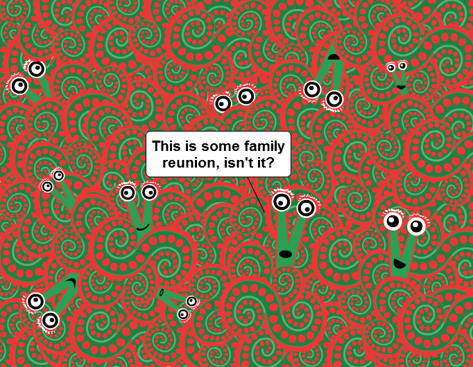Family Reunion