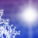 White landscape