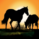 Hungarian Great Plain