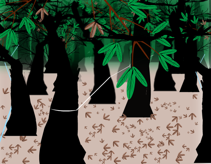 Aokigahara