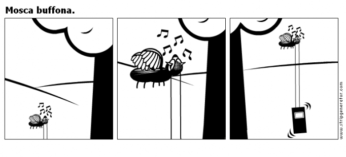 Mosca buffona.