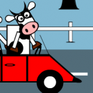 Cow and Co. 21