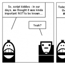 So, script kiddies...