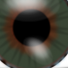 Hazel Eyes