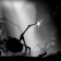 Alone In The Woods_part 6