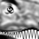 Dino-Shark!