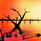 sunset over lake