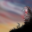 El pollo Paco