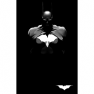 gothams dark knight