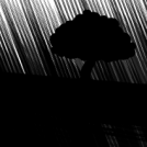 Rainy day