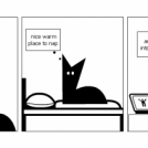 Twittering Cats?