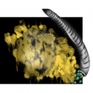 Worm