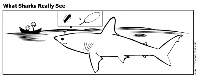 What Sharks Really See