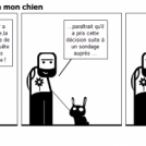 Le sondage expliqué à mon chien