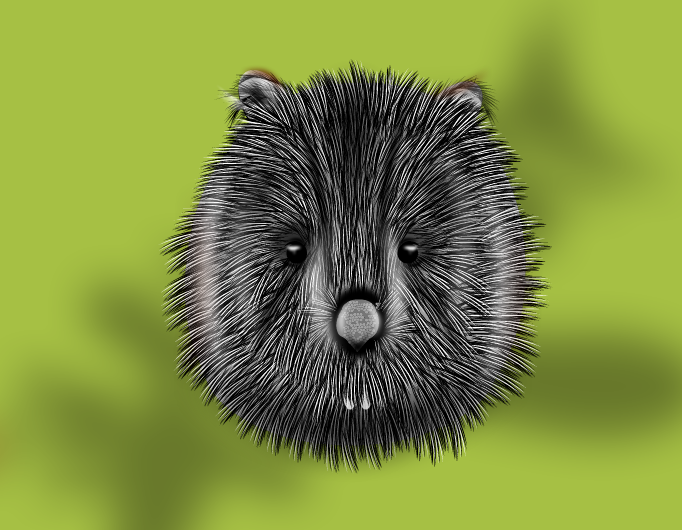 Wombat