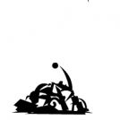 Pas du jour, la tortue