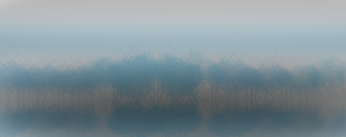 We became that forest