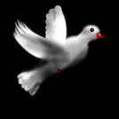 Just a bird