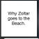 Why Zoltar goes to the Beach