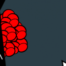 Rose are Red