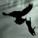 eagle vs cat
