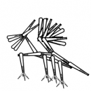 Playing with Objects
