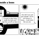 Living inside a bone