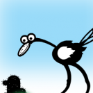 the Ostrich