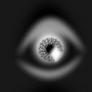 Cyclops