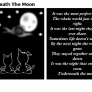 Underneath The Moon
