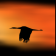 Cranes