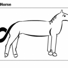 Kid Drawing White Horse