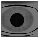 My first eyes - ugly - failed
