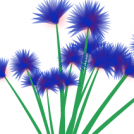 Blue Zealous